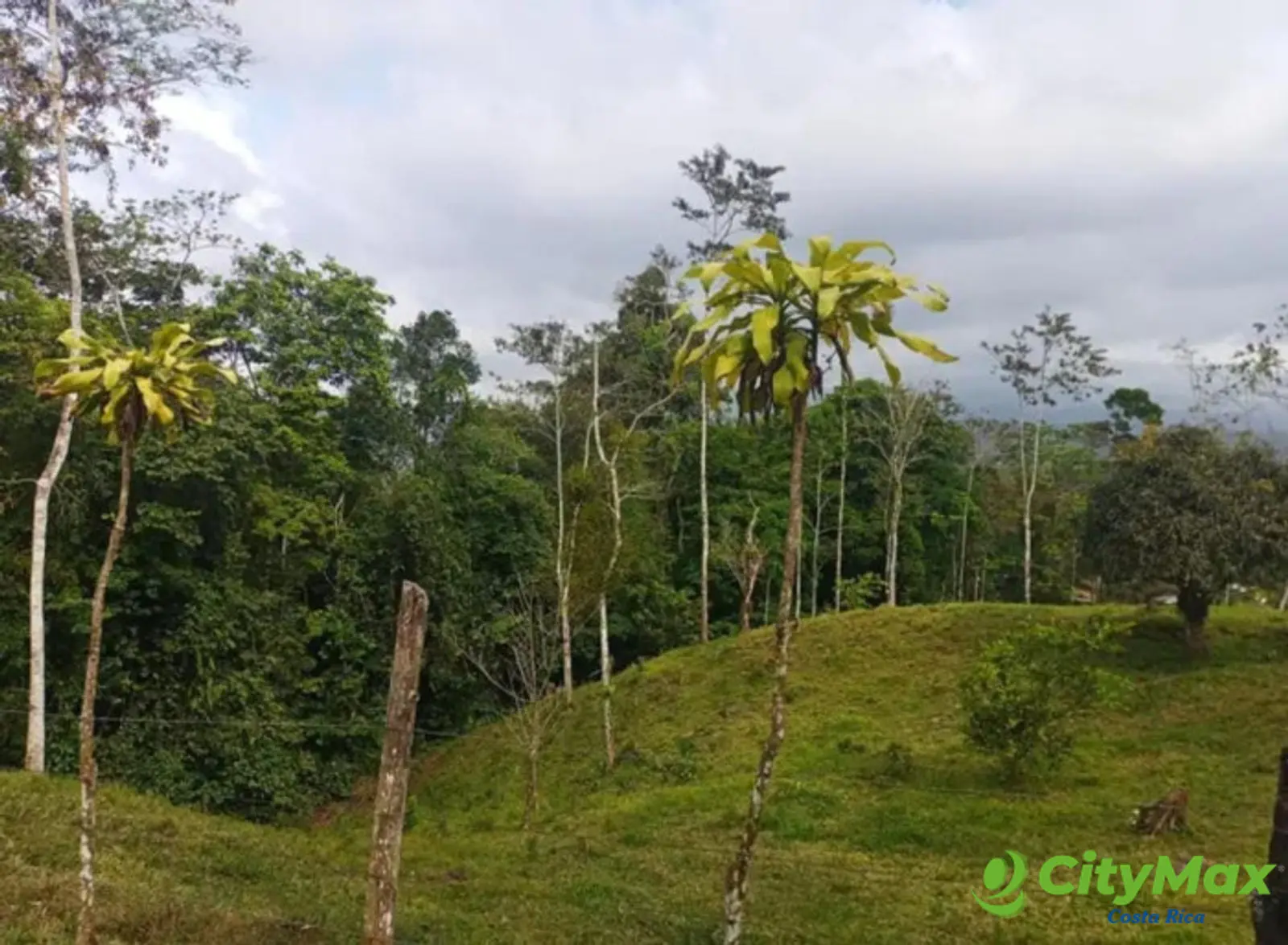 En venta finca ganadera Ciudad Quesada, San Carlos - foto 12