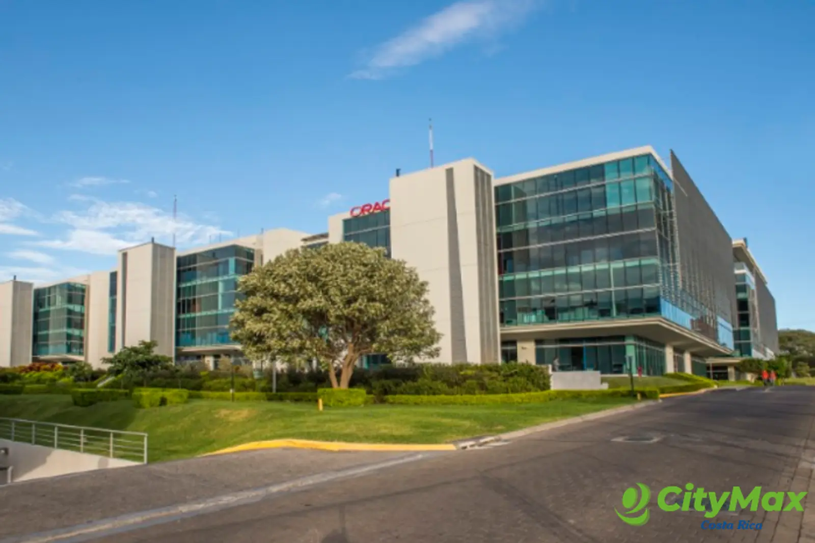 Oficina en Alquiler de 320 metros cuadrados en Alquiler - foto 6