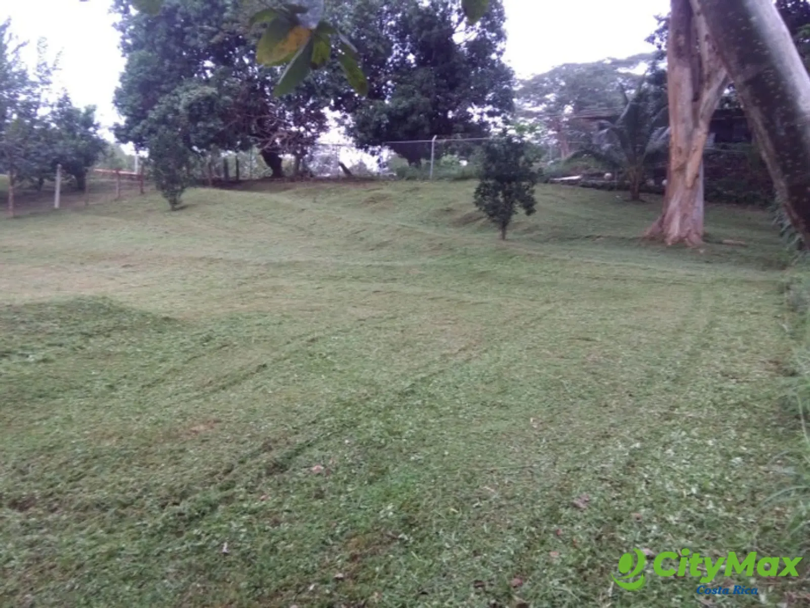 OFERTA Venta Terreno para construir Santa Rita Orotina - foto 4