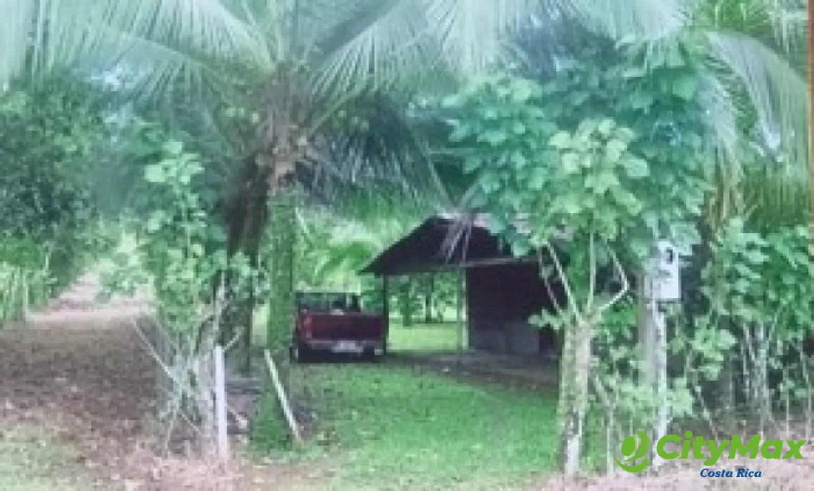 Se vende finca en Sarapiqui - foto 7