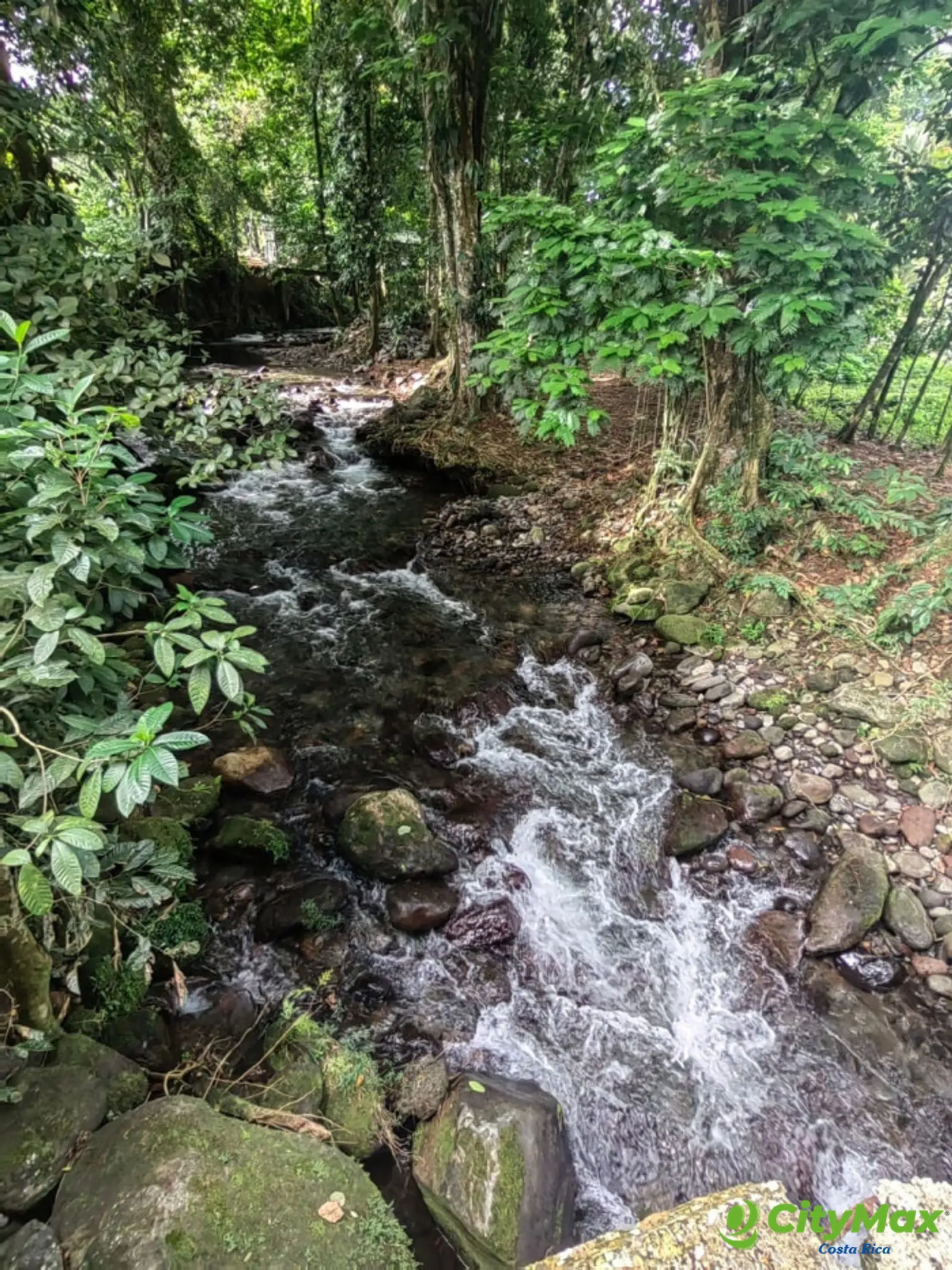 Exclusiva Quinta en Guápiles Ideal para Descanso - foto 7