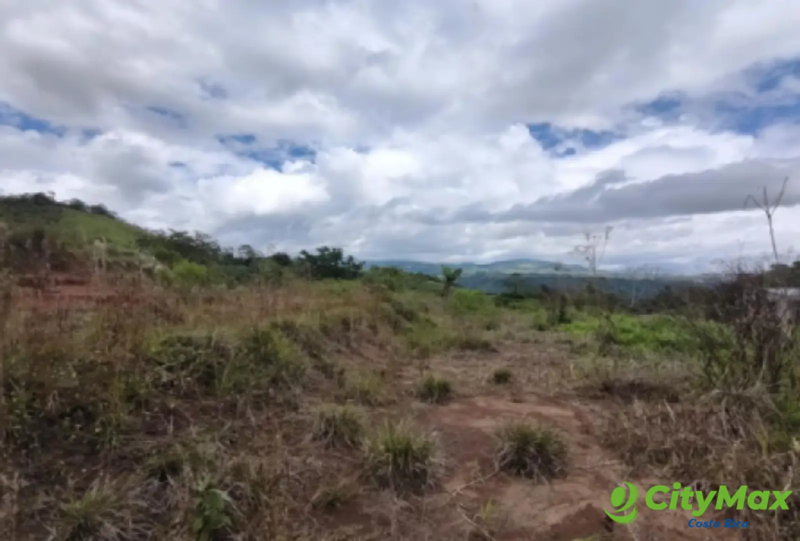 Finca en venta de 2,87 Hectareas en Tucurrique, Cartago - foto 15