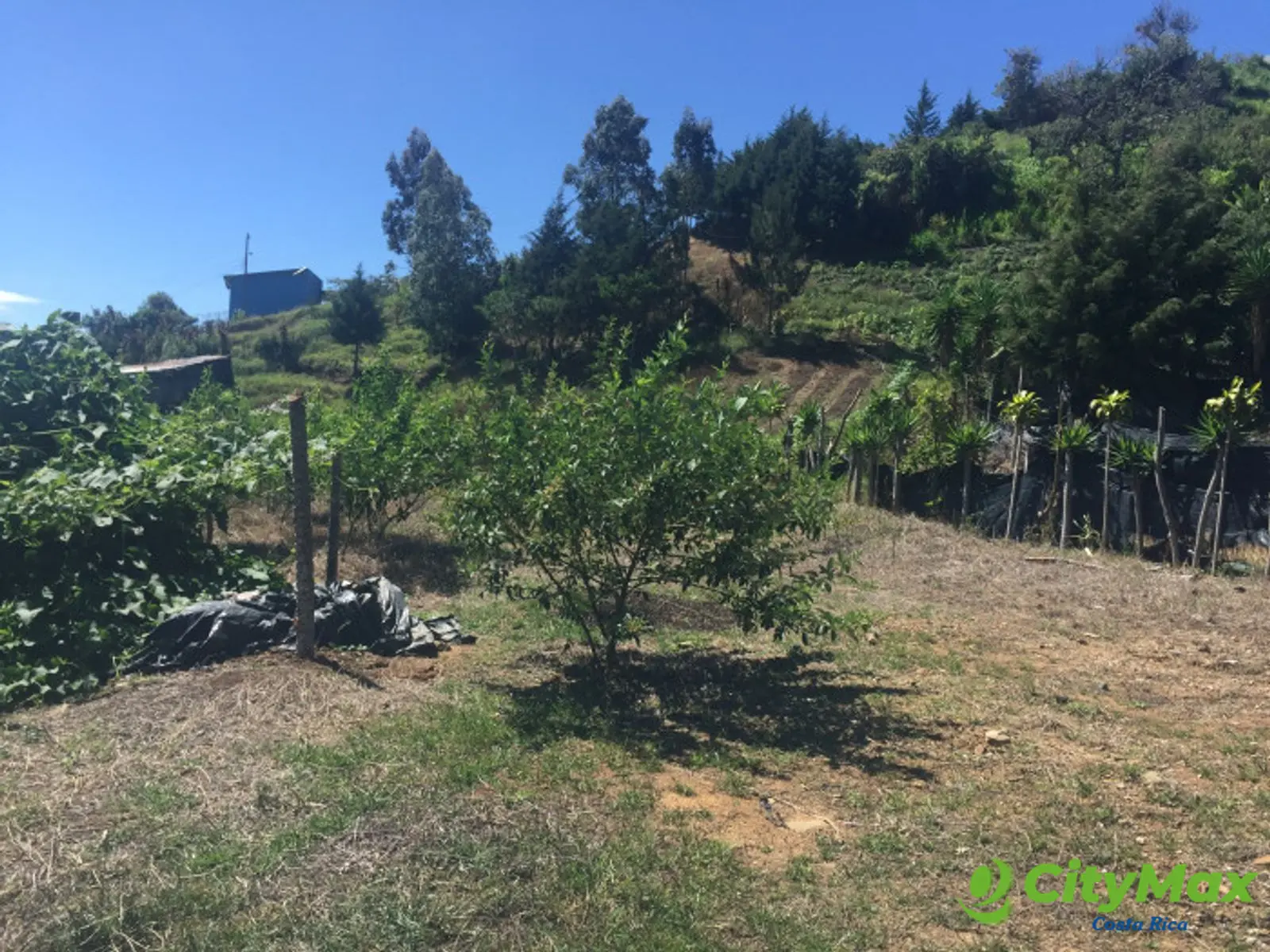 Terreno de 4,000 m² en Tobosi, Cartago Ideal Inversión - foto 2