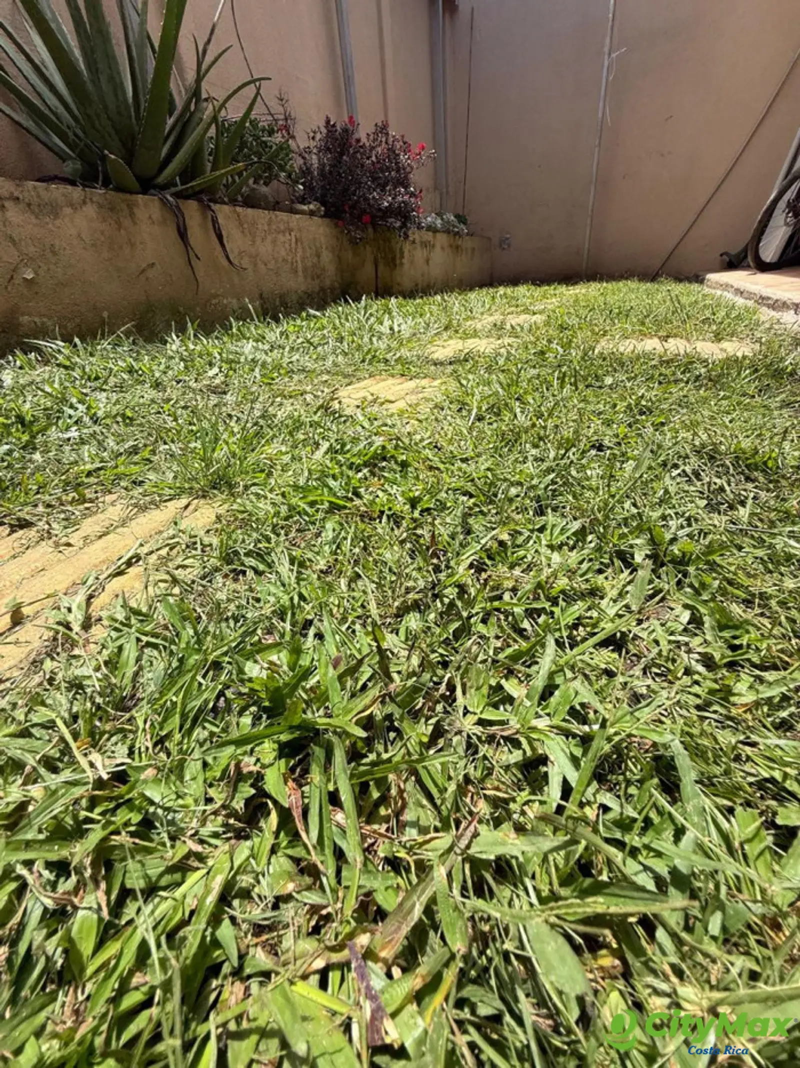 Hermosa Casa en Venta, Caballo Blanco, Cartago - foto 8