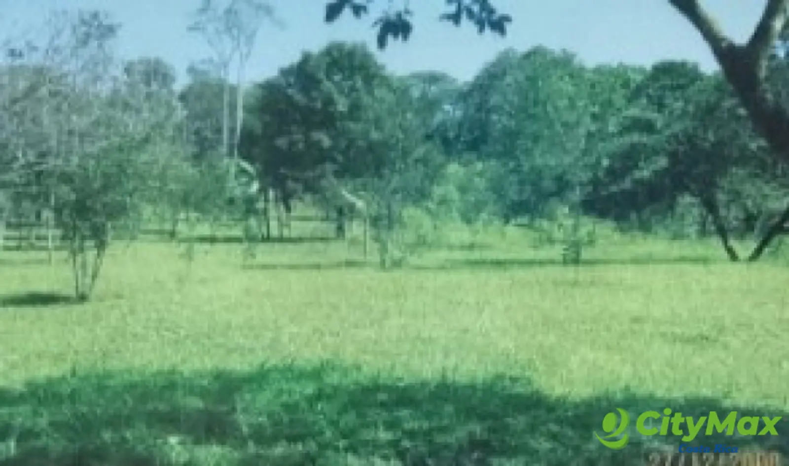 Se vende finca en Sarapiqui - foto 9
