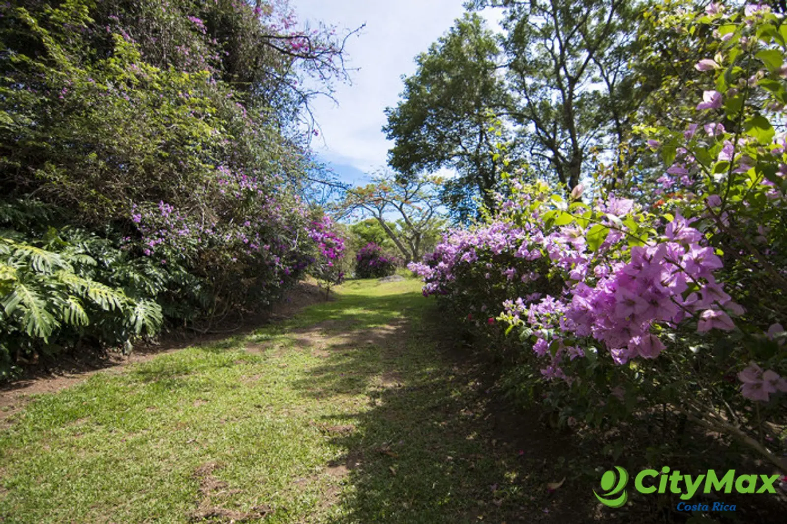 Terreno en Venta Condominio en Piedades de Santa Ana  - foto 3