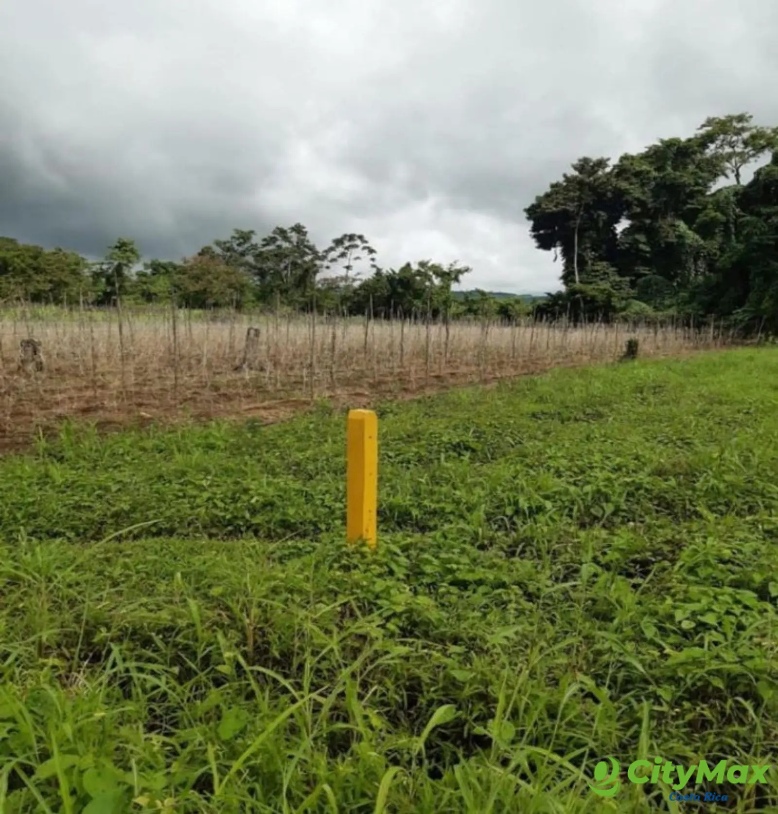 Lotes en venta en Proyecto en Llanos del Miravalles - foto 5