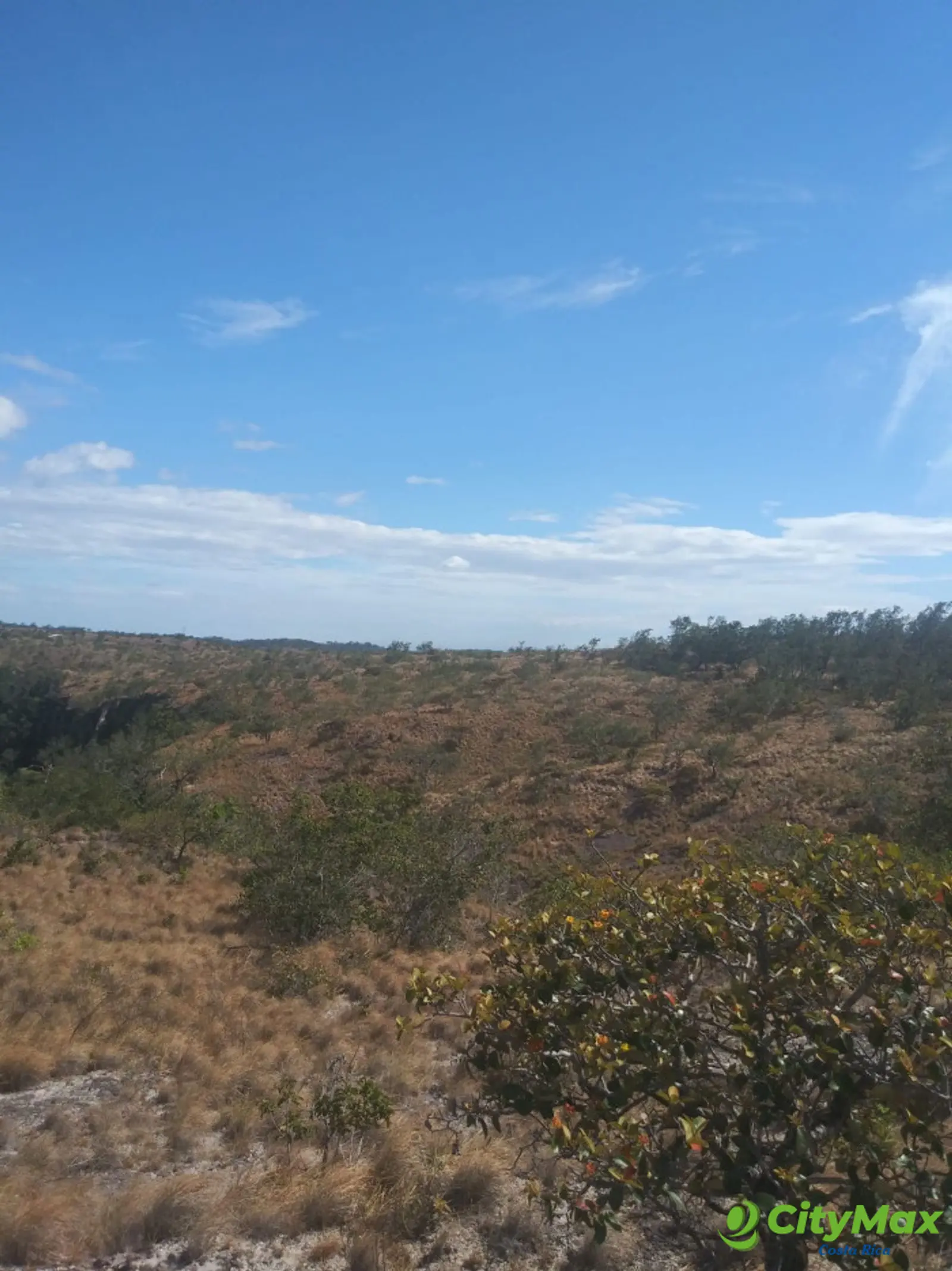 Lotes en venta, Liberia, Curubandé. - foto 12