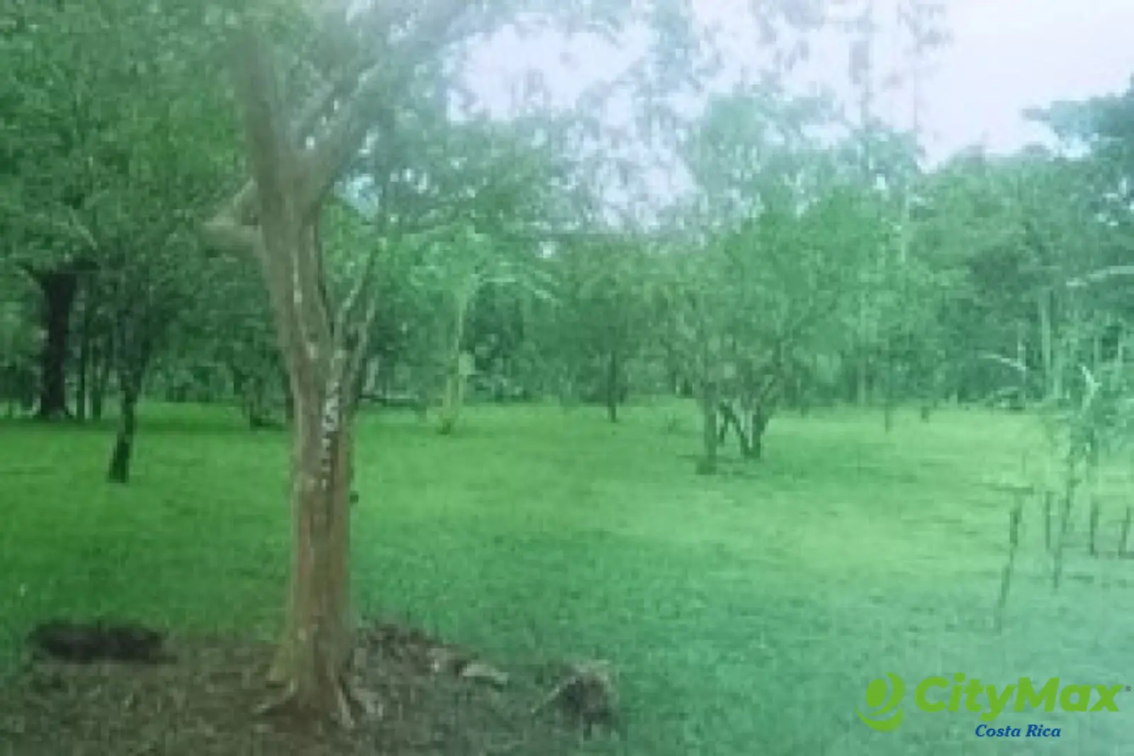 Se vende finca en Sarapiqui - foto 6