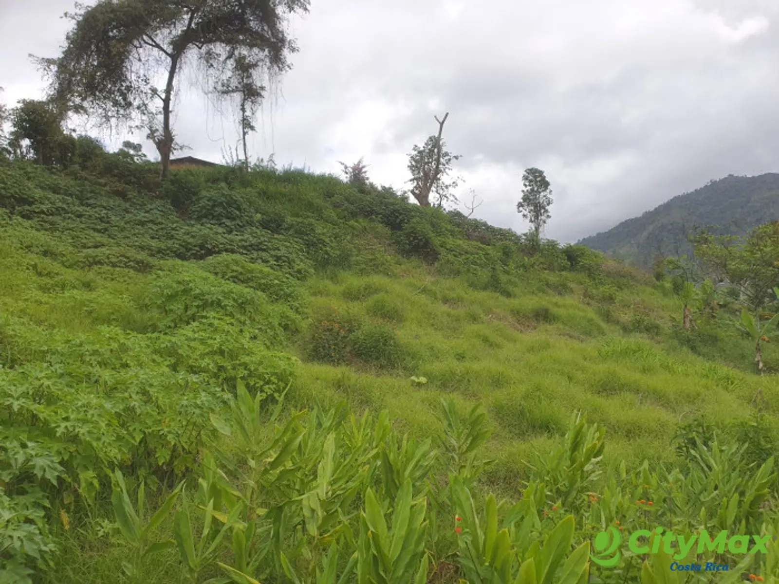 En venta terreno en Santa Rosa de Tayutic en Turrialba - foto 4