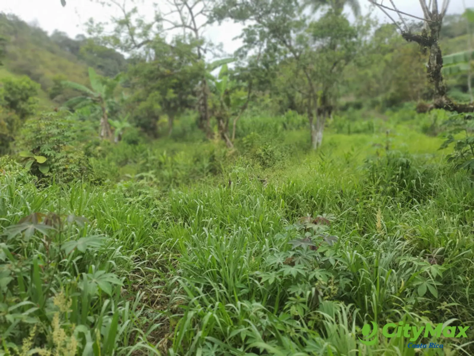 En venta terreno en Santa Rosa de Tayutic en Turrialba - foto 2