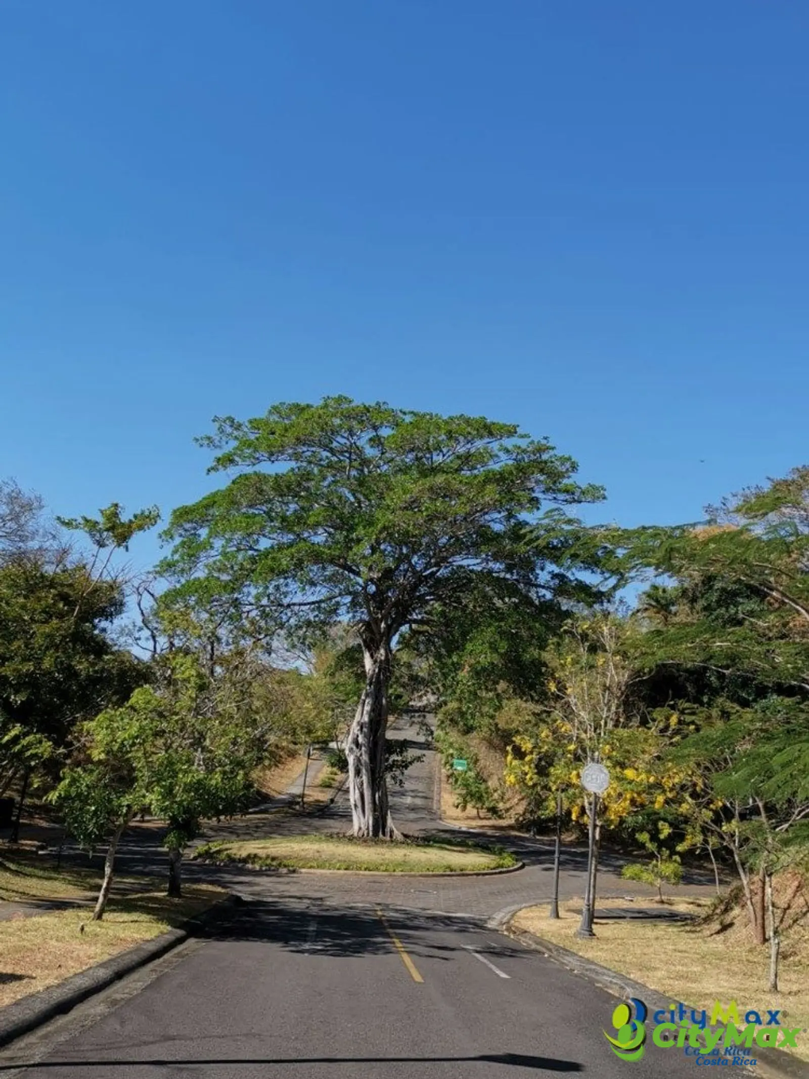 Se Vende Precioso Terreno en Hacienda los Bambués! - foto 6