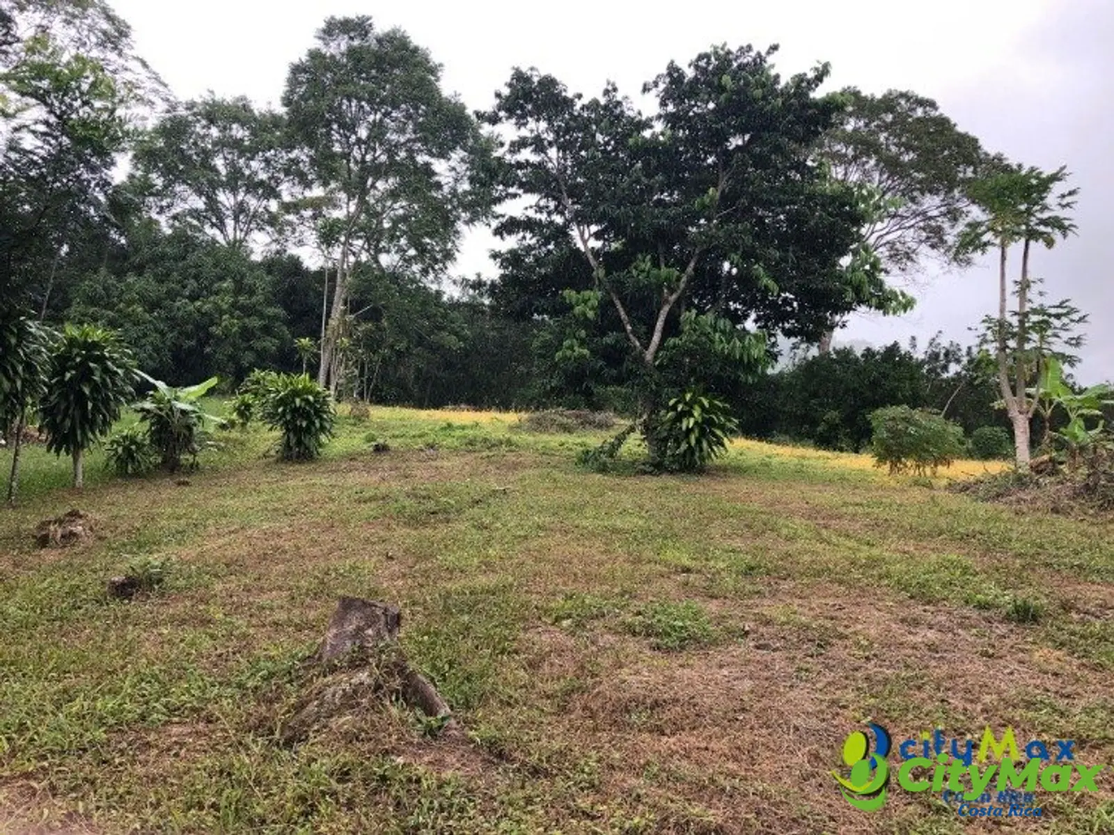 Se vende ampio, plano y hermoso terreno en Atenas  - foto 4
