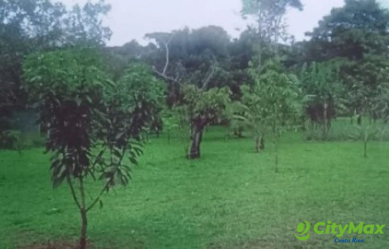 Se vende finca en Sarapiqui - foto 2