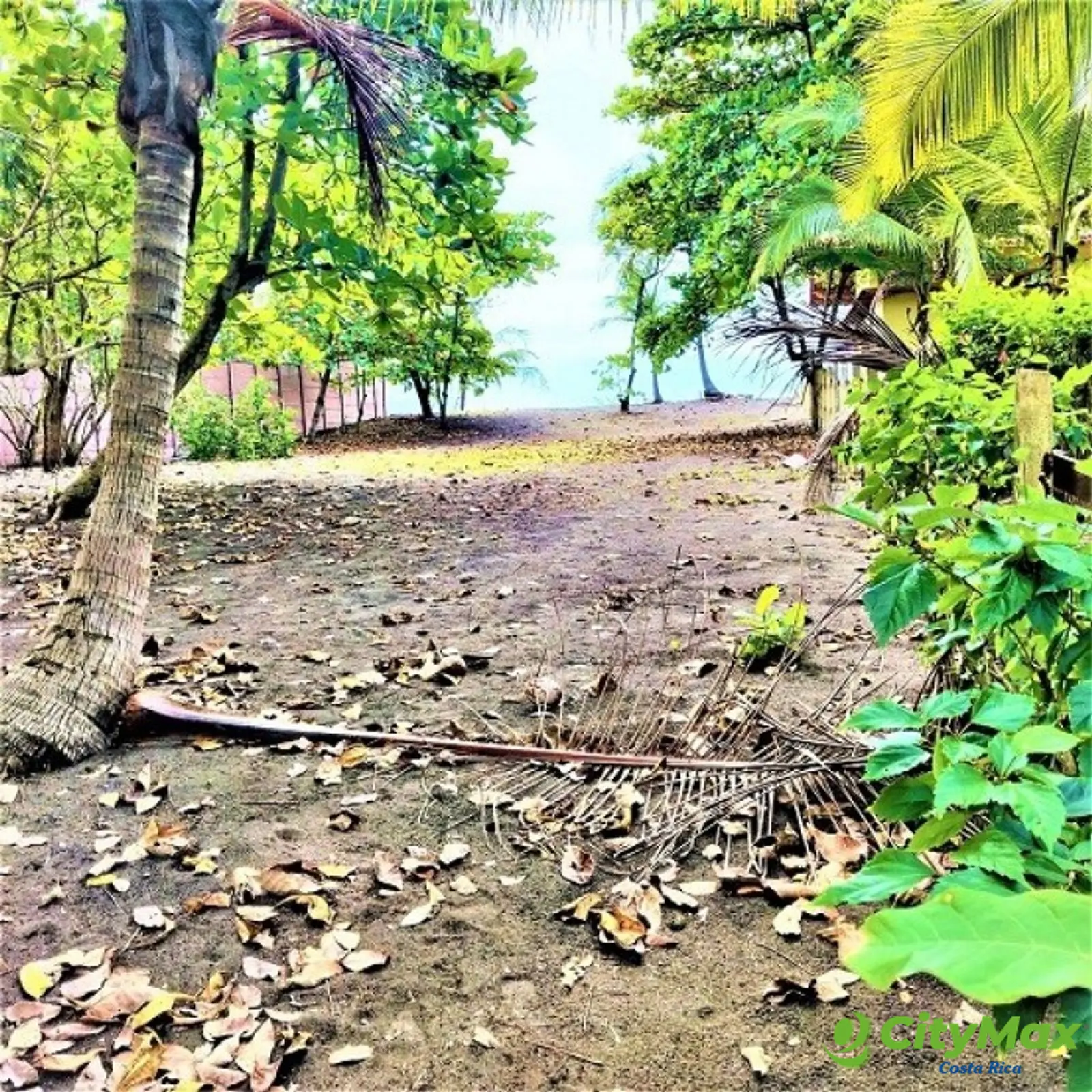 Lote Exclusivo en venta en Playa Tivives, Puntarenas - foto 8