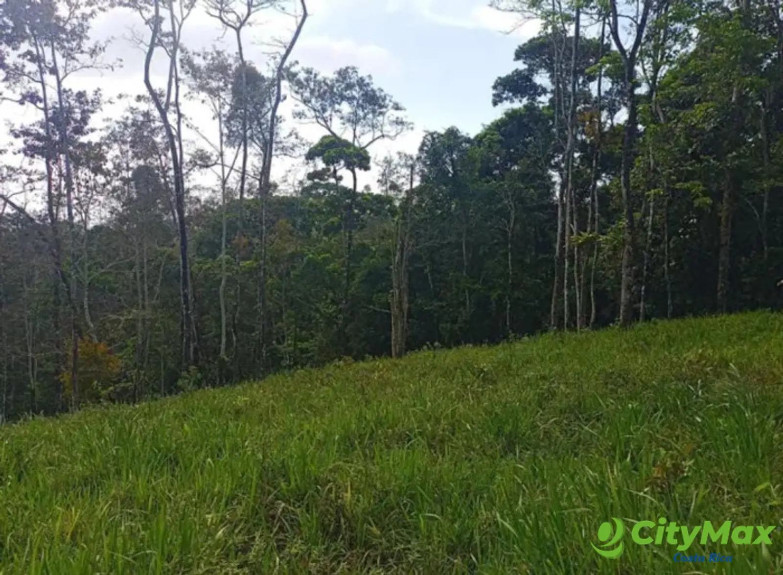 En venta finca ganadera Ciudad Quesada, San Carlos - foto 8