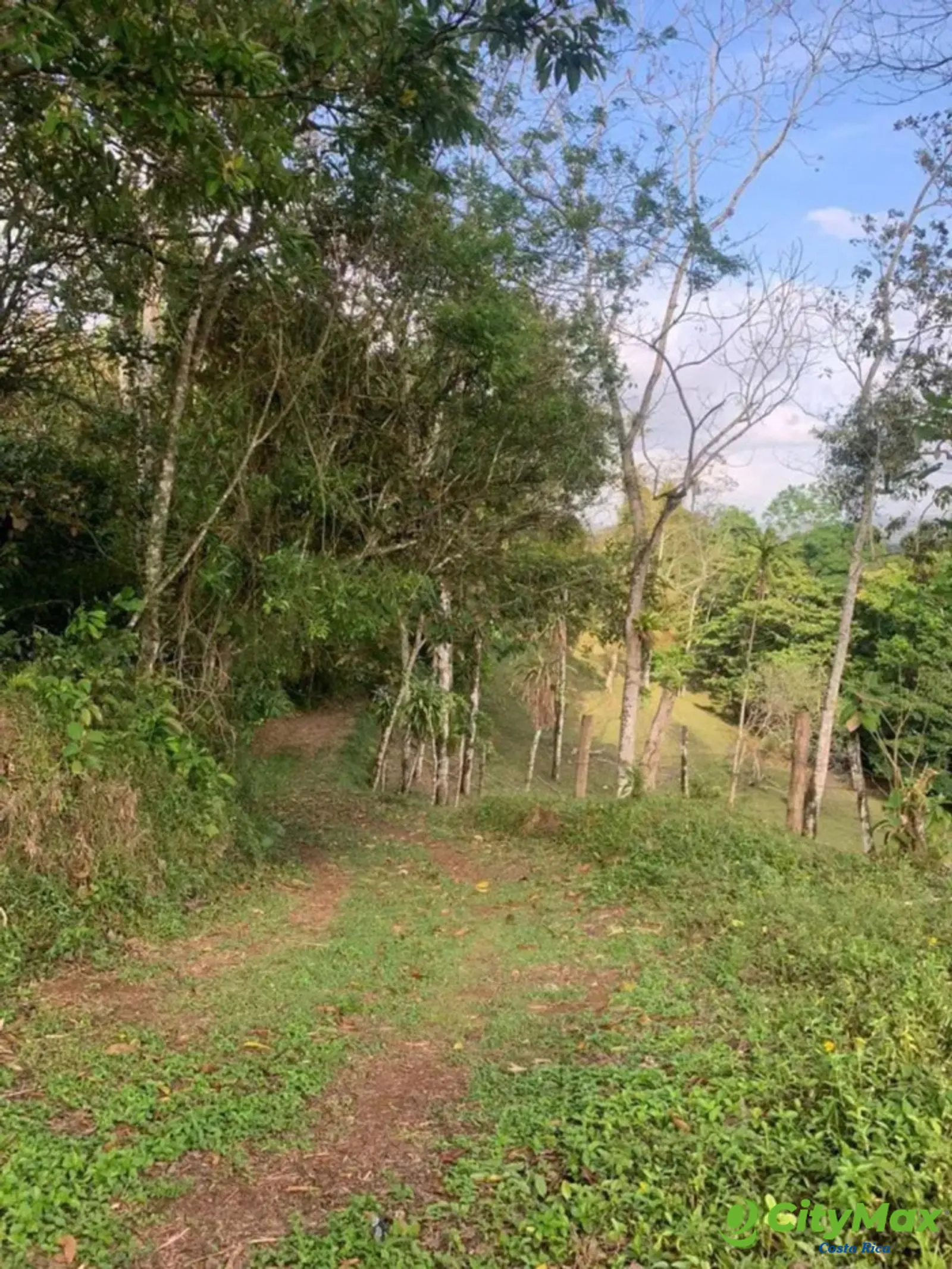 En venta finca ganadera Ciudad Quesada, San Carlos - foto 11