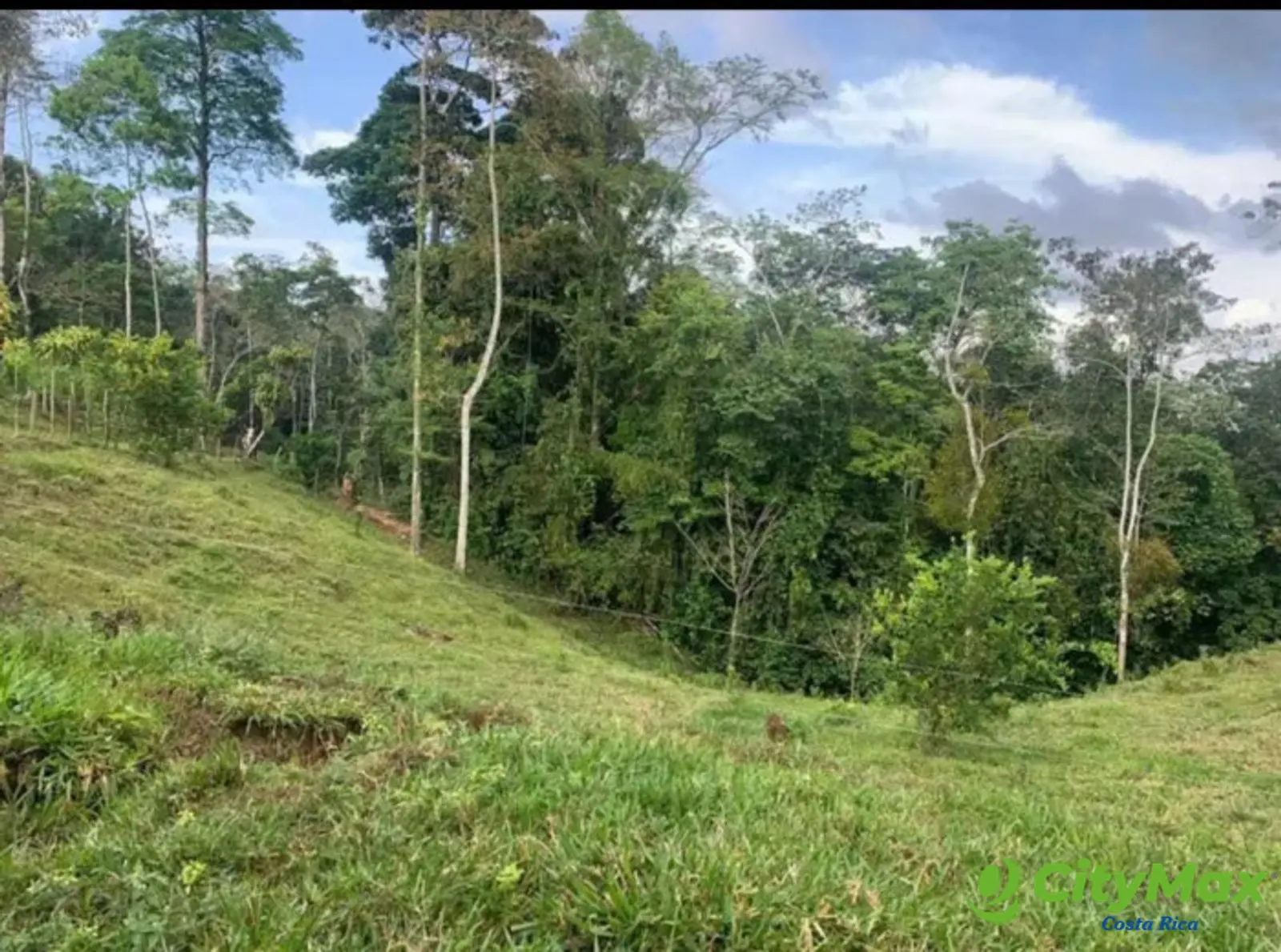 En venta finca ganadera Ciudad Quesada, San Carlos - foto 6