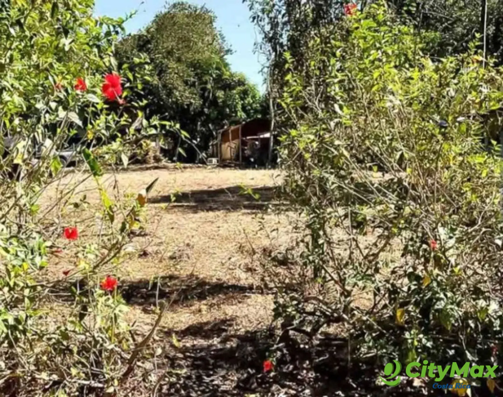 En Venta Lote en Condominio en Playa Tivives Esparza  - foto 4