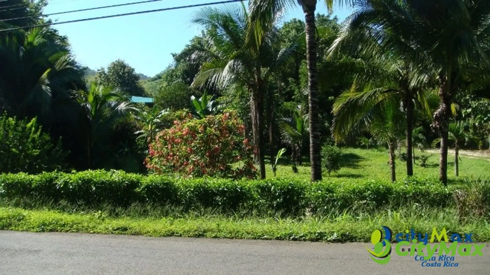Venta de finca Guanacaste Belén Nicoya C.R. 3 hectáreas - foto 16
