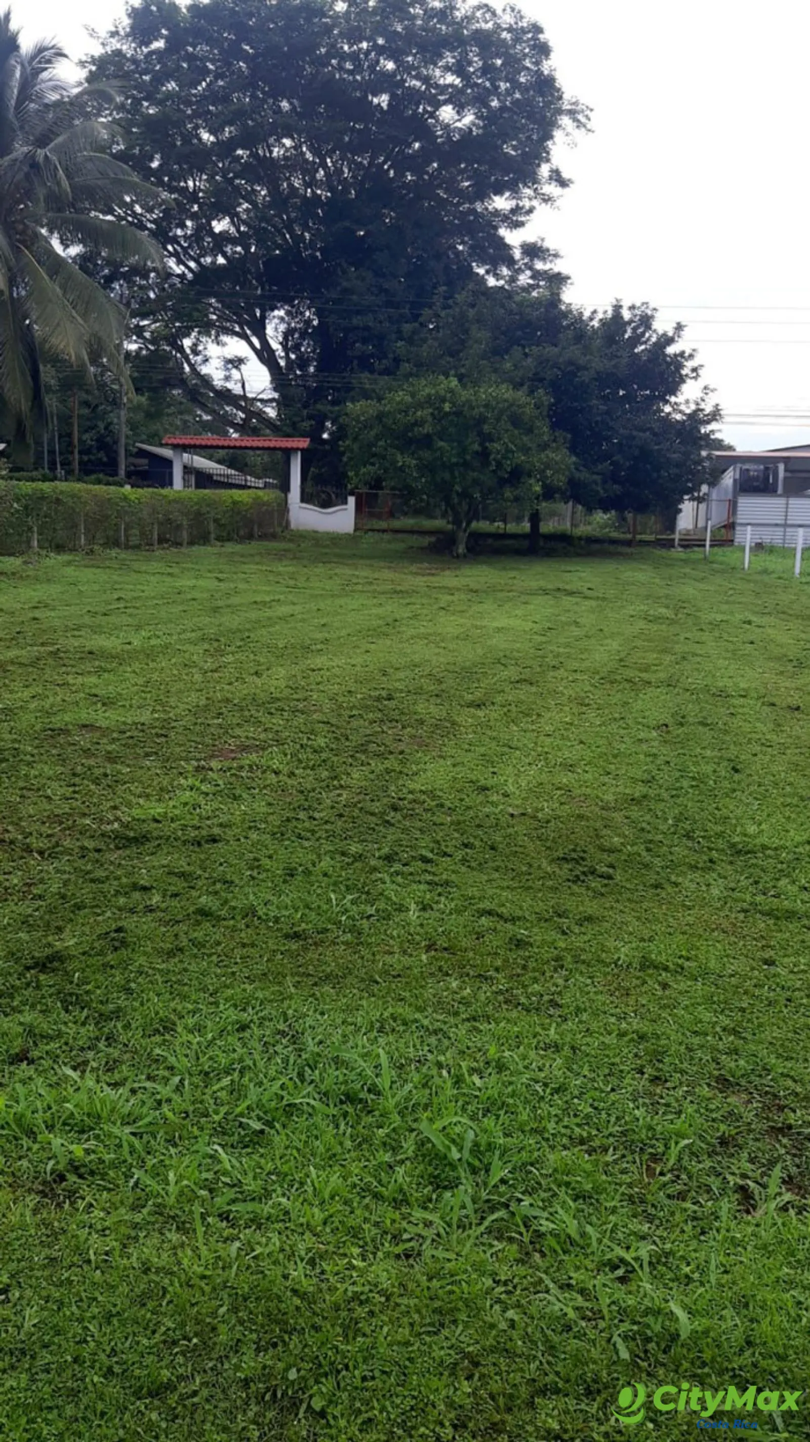 Se vende hemoso y amplio terreno. Orotina - foto 5